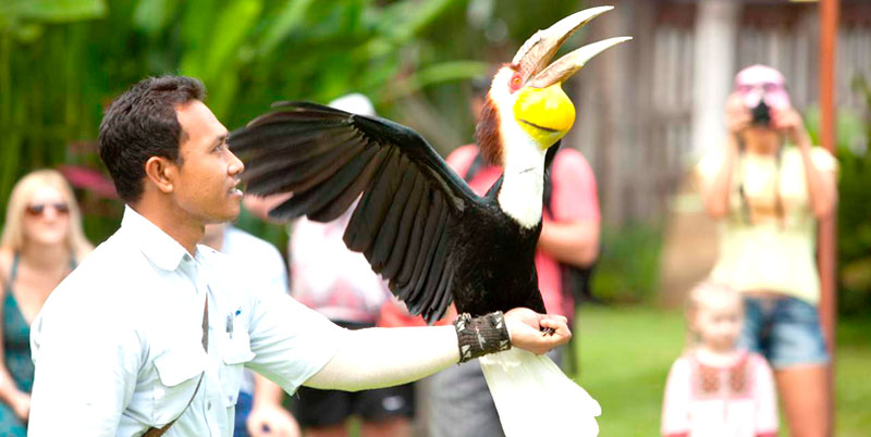 Bali Bird Park and Tanah Lot Tour Packages