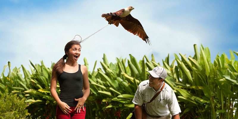 Bali Bird Park and Ubud Tour Packages