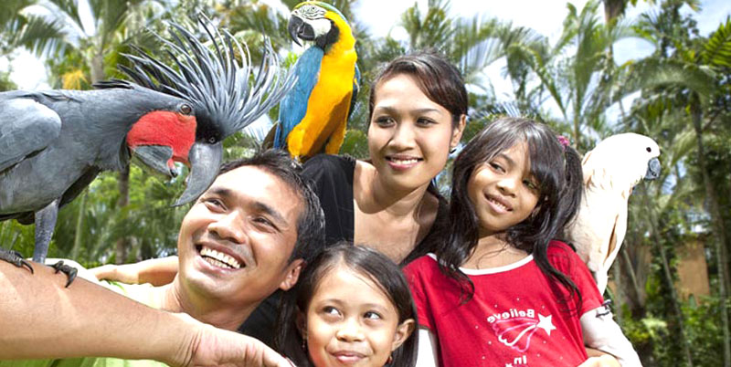 Bali Bird Park and Uluwatu Tour Packages