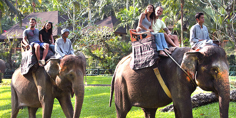 Bali Elephant Ride and Uluwatu Tour Packages