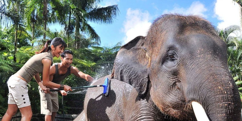 Bali Elephant Ride