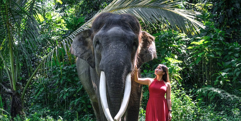 Bali Elephant Safari Park