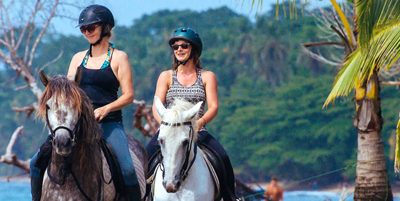 Bali Horse Riding and Ubud Tour Packages