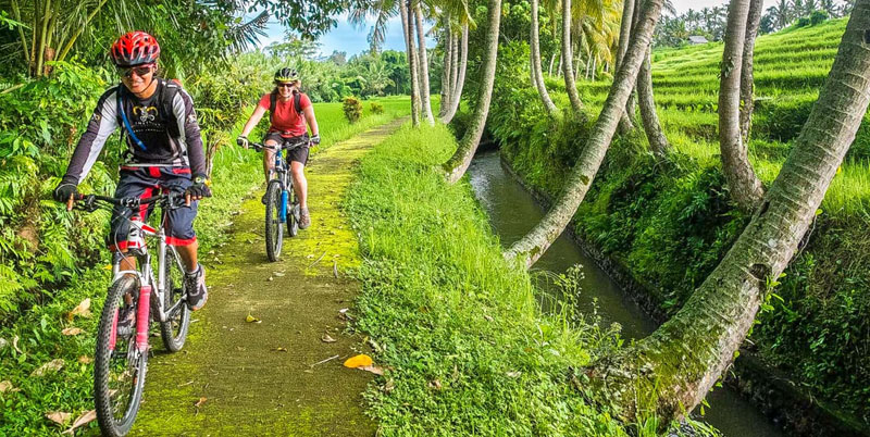 Bali Rafting and Cycling Packages