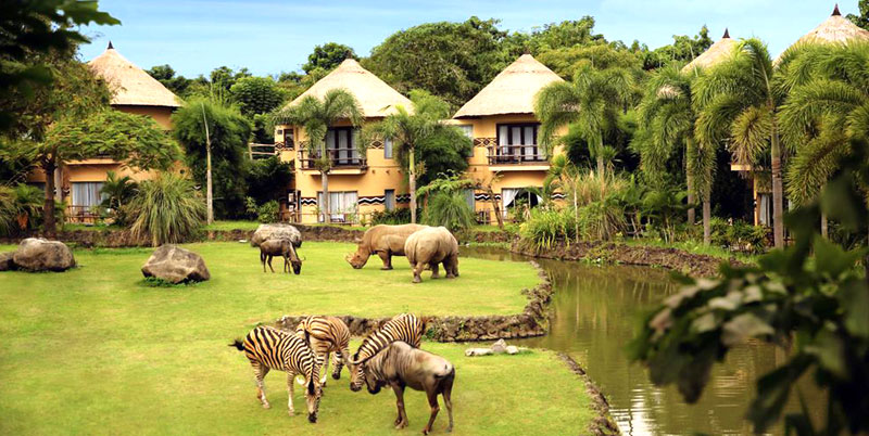 Bali Safari Park and Tanah Lot Tour Packages