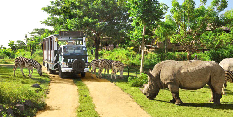 bali safari park ubud