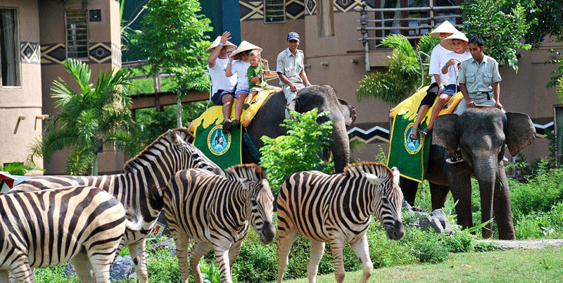 Bali Safari Park and Uluwatu Tour Packages