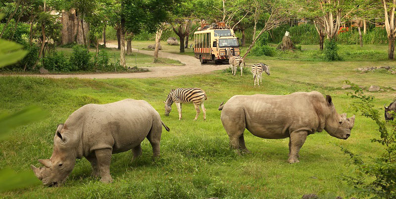 Bali Safari and Marine Park