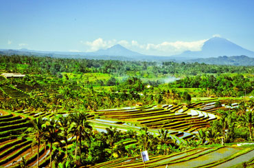 Bali Tour Packages 7 Days and 6 Nights