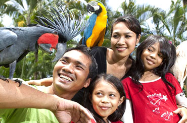 Bali Bird Park