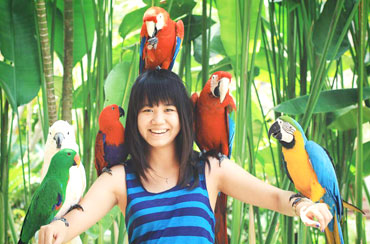 Bali Bird Park