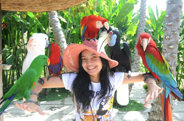 Bali Bird Park and Tanah Lot Tour Packages