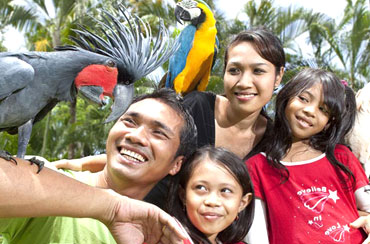 Bali Bird Park and Ubud Tour Packages