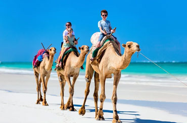 Bali Camel Safaris