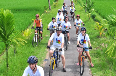 Bali Cycling and Elephant Ride Packages