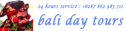 Bali Day Tours