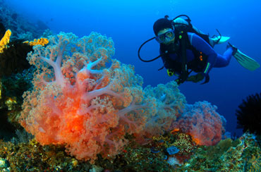 Bali Diving