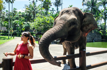 Bali Elephant Safari Park