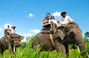 Bali Elephant Ride