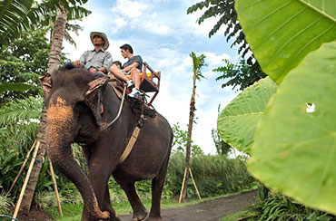 Bali Elephant Ride and Tanah Lot Tour Packages