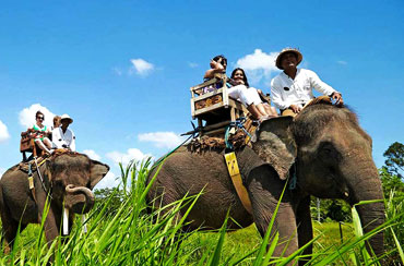 Bali Elephant Ride and Uluwatu Tour Packages