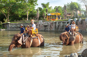 Bali Exclusive Elephant Safari