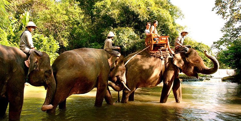 Bali Exclusive Elephant Safari