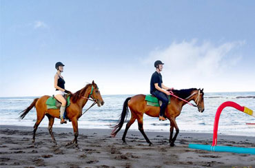 Bali Horse Riding and Elephant Ride Packages