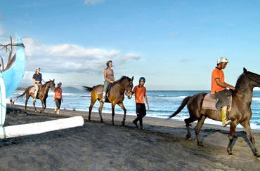 Bali Horse Riding and Ubud Tour Packages