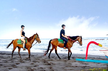 Bali Horse Riding and Uluwatu Tour Packages