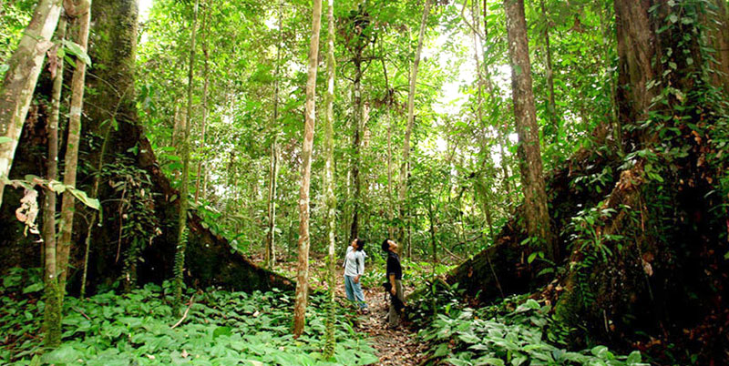 Bali Jungle Trekking