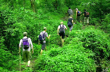 Bali Jungle Trekking