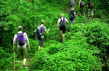 Bali Jungle Trekking