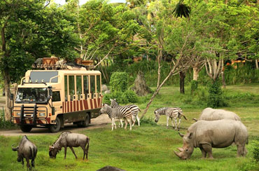 Bali Safari and Marine Park