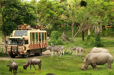 Bali Safari Park and Uluwatu Tour Packages