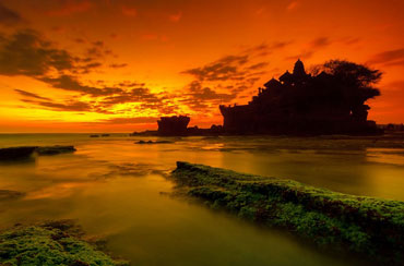 Bali Tour Packages 5 Days and 4 Nights