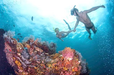 Blue Lagoon Snorkeling