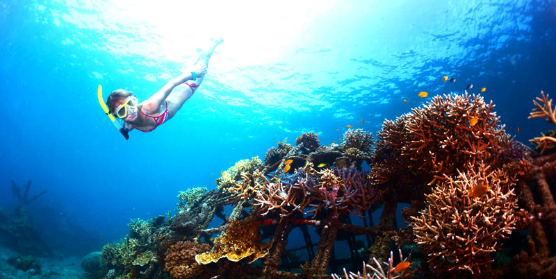 Blue Lagoon Snorkeling and Bali Horse Riding Packages