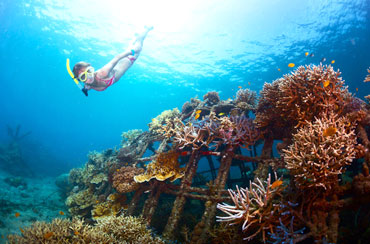 Blue Lagoon Snorkeling and Bali Horse Riding Packages