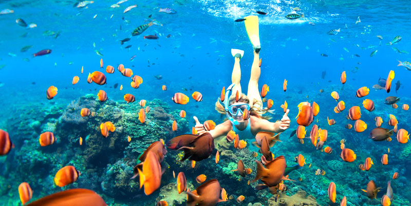 Blue Lagoon Snorkeling and Kintamani Tour Packages