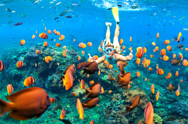 Blue Lagoon Snorkeling and Kintamani Tour Packages