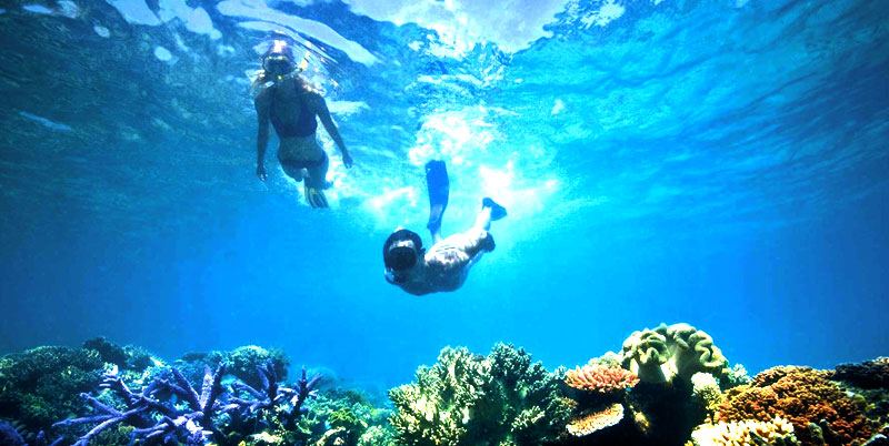 Blue Lagoon Snorkeling and Ubud Tour Packages
