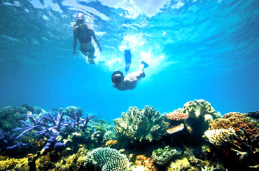 Blue Lagoon Snorkeling and Ubud Tour Packages