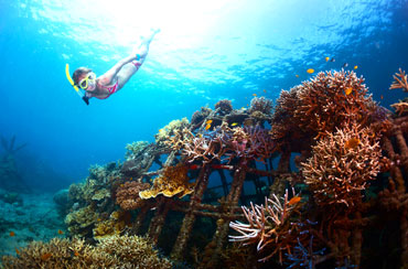 Blue Lagoon Snorkeling and Uluwatu Tour Packages