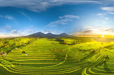 Jatiluwih Rice Terrace