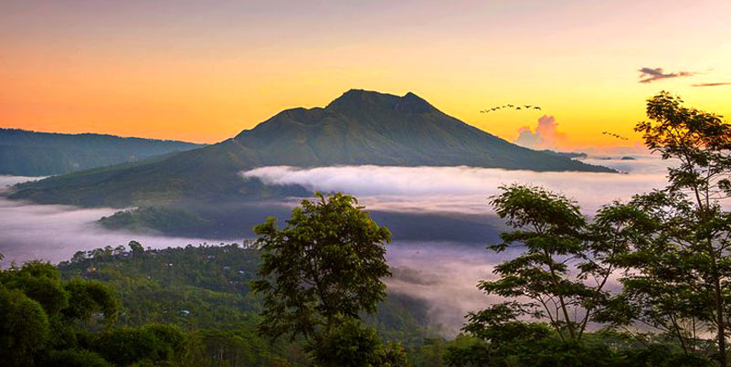 Kintamani Volcano and Ubud Tour