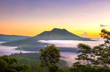 Kintamani Volcano and Ubud Tour