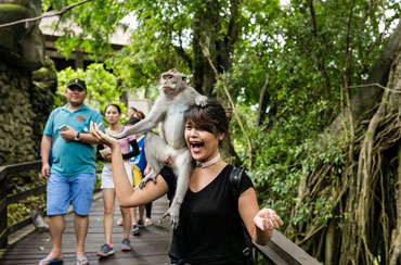 Ubud Monkey Forest