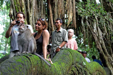 Ubud Village Full Day Tour