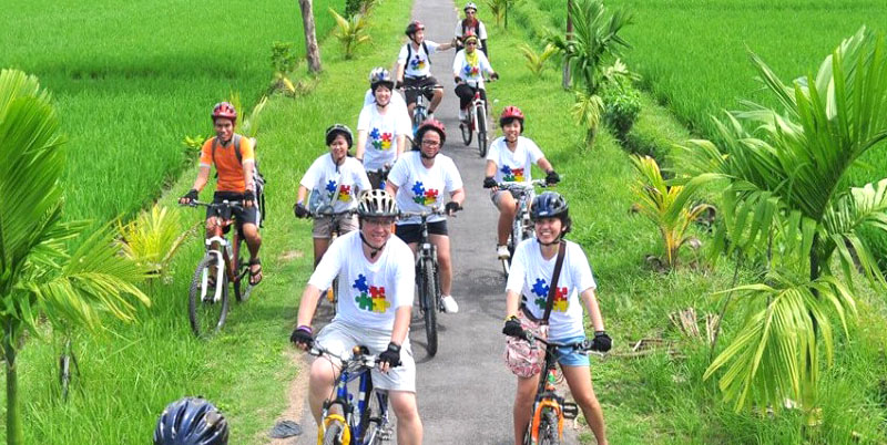 Bali Cycling and Elephant Ride Packages